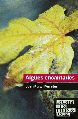Aigües encantades