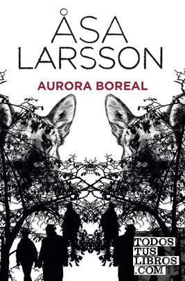 Aurora boreal